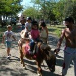 Ponyrijden